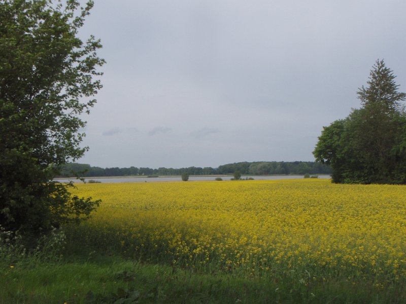 Bad Schwartau 214